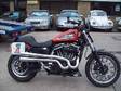 Harley-Davidson XR XR1200R STORZ FLATRACKER SPECIAL....